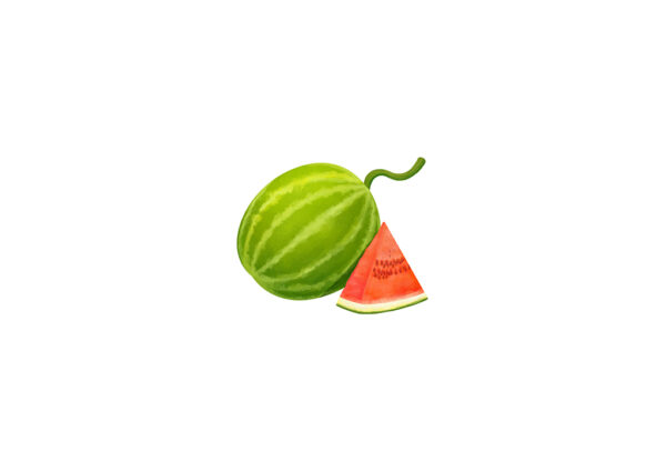 手绘卡通写实植物水果西瓜