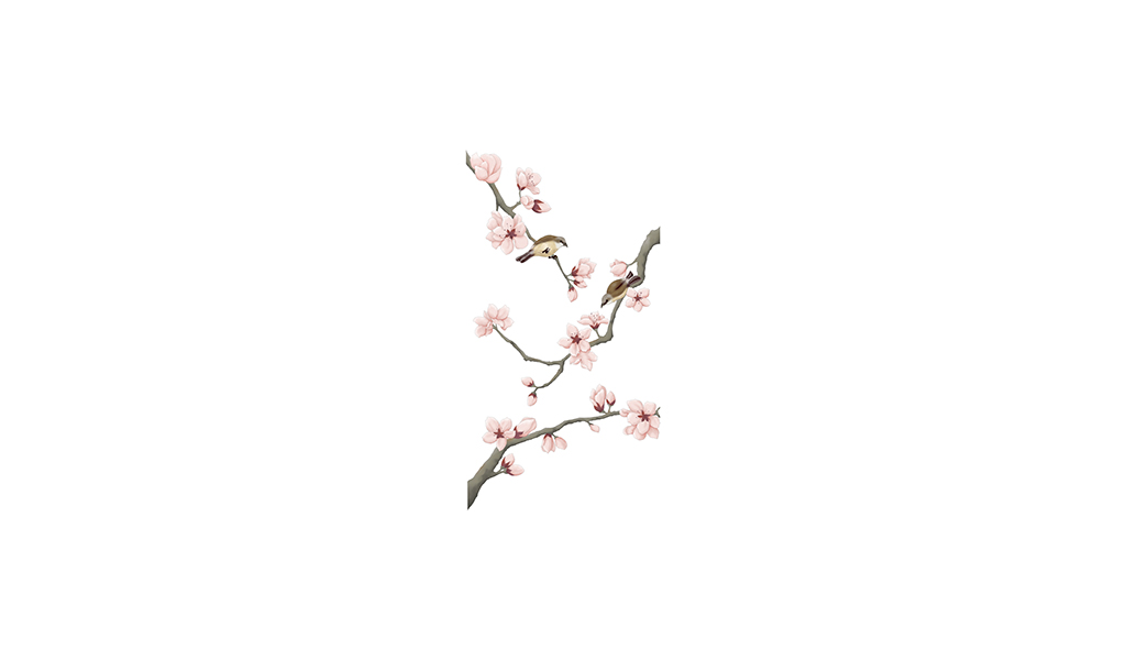粉色古风花卉树枝小鸟手绘插画插图